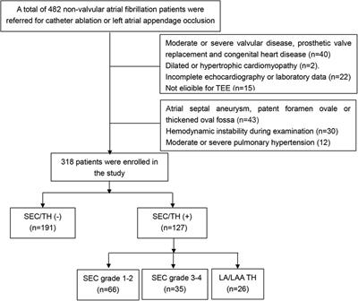 The incremental value of interatrial septum motion in predicting thrombus or spontaneous echo contrast in patients with non-valvular atrial fibrillation: an observational study on transesophageal echocardiography